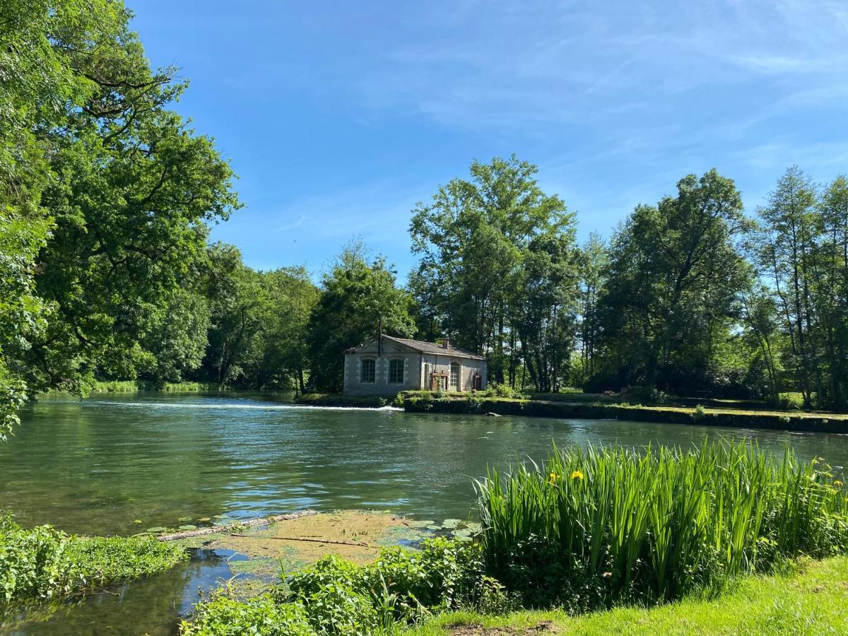 Chateau Des Loups - Les Cedres Bleus Echire Exteriör bild